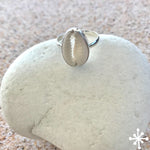 Cowrie Shell Ring Simple